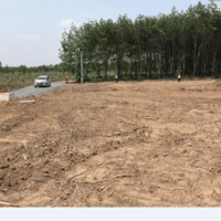 Do gia đình không sử dụng nên cần bán lại sào đất GẦN UBND Tân Hiệp Phú Giáo , 12x90m, Gía Bình dân