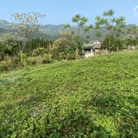 Cần bán nhanh 1910M đất vườn bám đường bê tông cực đẹp tại Cao Phong - Hòa Bình