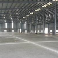 Cho thuê kho xưởng 1000m2, 2000m2, 3000m2 đến 10000m2 tại KCN VSIP, KCN TÂN TRƯỜNG, KCN ĐẠI AN, KCN PHÚC ĐIỀN, tỉnh Hải Dương