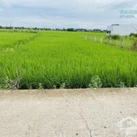 1407M2 Full Thổ Thuộc Xã Lạc Tấn - Tân Trụ