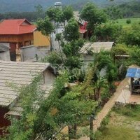 Hót Hit... Cho Thuê Homestay, Khu Du Lịch Bản Án.