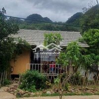 Hót Hit... Cho Thuê Homestay, Khu Du Lịch Bản Án.