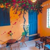 Sang Quán Cafe 3 Lầu Giá Thuê Rẻ Đường Lớn Tuy Hoà