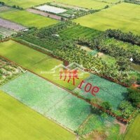 Bán Đất Giá Rẻ Đường Ql91-Mỹ Phú Châu Phú