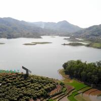 9000m2 vườn có 400m tc view Hồ Cấm Sơn - Lục Ngạn - Bắc Giang