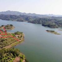 9000m2 vườn có 400m tc view Hồ Cấm Sơn - Lục Ngạn - Bắc Giang