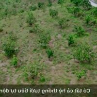 Bán Khu Trang Trại Sinh Thái Rộng Gần 4Ha Sổ Đỏ Công Chứng Ngay Chỉ Có 350 Nghìn/M2, Giá Đầu Tư