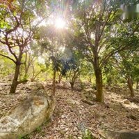 Bán Đất View Suối , Xã Vĩnh Lương , Nha Trang Giá Rẻ