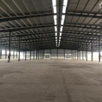 Công ty Long Thành chính chủ cho thuê kho xưởng KCN Tân Quang, DT 3000m2-7000m2-17.000m2