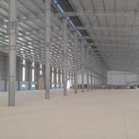 Cho thuê kho xưởng mới dựng trong KCN Lương Sơn-Hòa Bình; 4352m2; kho đẹp, có PCCC