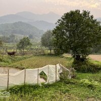 Cần Bán Lô Đất Phù Hợp Làm Nghỉ Dưỡng Có View Ruộng Bậc Thang Tuyệt Đẹp Tại Tp Hòa Bình, Hòa Bình