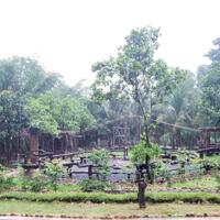 bán nhà vườn nghỉ dưỡng suối bao quanh đất p. Khánh Xuân tp BUÔN MA THUỘT
