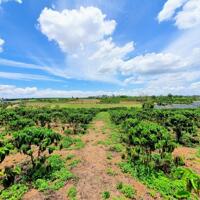 Bán lô đất 2.200m2 View đẹp làm nhà vườn Nghỉ Dưỡng cách Sân Bay Đà Lạt 8km. 2 tỷ 650