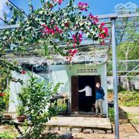 Cần bán nhà vườn ven Nha Trang cách bến xe phía bắc 4km, cách biển 5km, có sẵn nhà cấp 4 và vườn cây ăn trái.