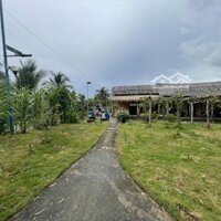 Cần Bán Đất Mở Farmstay Ở Vị Thanh