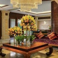 Bán Cắt Lỗ Biệt Thự Tiêu Chuẩn 6 Sao Vinpearl Luxury Nha Trang, Giá Bán 11 Tỷ