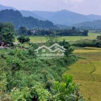 Siêu Phẩm View Hồ Nam Thượngdiện Tích1,2Ha Có 400M2 Tc