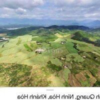 11.4Ha Đất Rsx Chỉ 300 Triệu/Ha - Ninh Quang - Nh