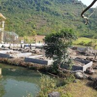 Bán Đất Nghỉ Dưỡng Homestay Tại Thôn Đồng Tâm, Xã Cúc Phương, Nho Quan Ninh Bình