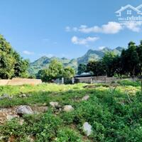 Bán đất khu vực có nhiều homestay nhất Mộc Châu ,Sơn La