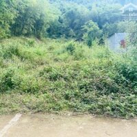 Bán 2,7Ha Đất Rừng Sản Xuất Tại Xóm Mít Xã Tân Minh Huyện Đà Bắc Hoà Bình