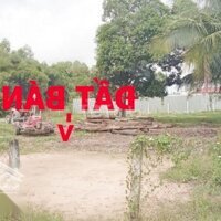 Đất Thổ Vườn 175M² Bao Đẹp Như Hình