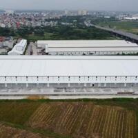 Cty cần cho thuê 4.000m2 kho xưởng độc lập, logistics tại KCN Yên Bình - Thái Nguyên