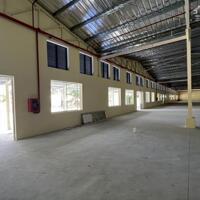 CHO THUÊ KHO XƯỞNG 32000m2 THI TRẤN MỸ PHƯỚC HUYÊN TÂN PHƯỚC TIỀN GIANG