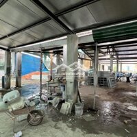 Cho Thuê Đất Nền Phú Bài 5000M2 - 99 Triệu/Tháng