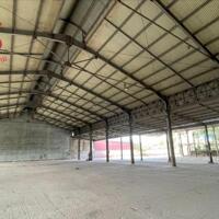 Cho thuê xưởng 3000m2 giá rẻ Thiện Tân, Vĩnh Cửu chỉ 110 triệu