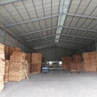 Cho thuê nhiều kho xưởng ở TP Thuận An 350m2 500m2 600m2, 700m2, 3000m2 Bình Dương. LH: 0972 701 709