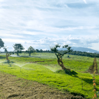 LÝ DO KHÁCH HÀNG CHỌN GIA THỌ VILLAGE LÀ NƠI "CHỌN MẶT GỬI VÀNG"