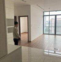 Cho Thuê Quỹ Căn Hộ Chung Cư Brg Diamond Park Plaza 16 Láng Hạ, Ba Đình