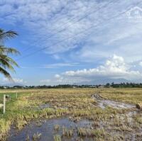 BÁN ĐẤT NÔNG NGHIỆP PHƯỜNG ĐÔ VINH THANH PHỐ PHAN RANG THÁP CHÀM