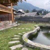 Bán Homestay Chỉ Hơn 6 Tỷ Tại Sa Pa