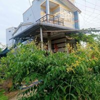 Siêu Phẩm Nhà Vườn Sinh Thái