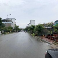 Bán 250M2 Đất Xây Biệt Thự Đường 24,5M Khu Đô Thị Minh Phương, Việt Trì
