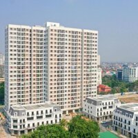 Mở Bán Shophouse Vincom Quang Trung, Bảng Giá Trực Tiếp Từ Phòng Kinh Doanh