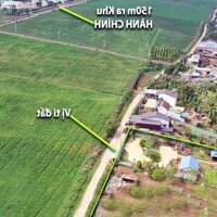 Bán Homestay Siêu Đẹp Đắk Nông Có 1.000M2 Thổ Cư. Sở Hữu Mặt Hồ Thoáng Mát. Khu Hành Chính Huyện