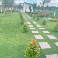 Nhà Vườn Tâm Huyết 1000M2 Đất Vườn Sẵn Điện Nước, Nhiều Cây Ăn Trái