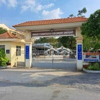 Bán Nhà Vườn 2000M2 Nhựt Chánh, Bến Lức, Long An