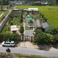 Bán Nhà Vườn 2000M2 Nhựt Chánh, Bến Lức, Long An