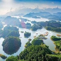 Bán Đất Hồ Núi Cốc Phía Namtam Đảo Làm Homestay, Sinh Thái, Trang Trại Trải Nghiệm