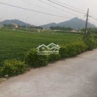 Đất Thạch Bằng Huyện Lộc Hà .Hà Tĩnhdiện Tích368M Thổ
