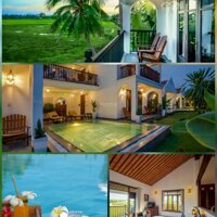 Bán Chuyển Nhượng Khách Sạn Resort 4 Sao Nổi Tiếng Hội An 11000M2