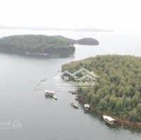 Bán Quả Đảo 2,6Ha Vị Trí Đắc Địa Có Đường Điện Tại Hồ Thác Bà, Yên Bái