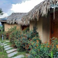 Sapa - Bán Homestay 1300M2 Chỉ 12 Tỷ