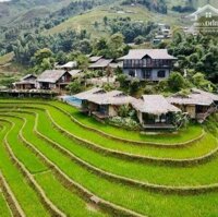 Sapa - Bán Homestay 1300M2 Chỉ 12 Tỷ