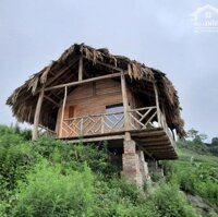 Sapa – Bán Homestay 1500M2 Giá Chỉ 8.5 Tỷ