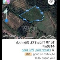 Đất Sào Dh 514 Phước Hòa Phú Giáo 5500M Giá Bán 5,5 Tỷ
